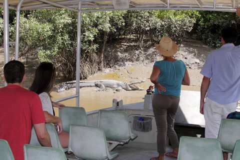 Whitsunday Crocodile Safari Including Lunch - Accommodation BNB 4
