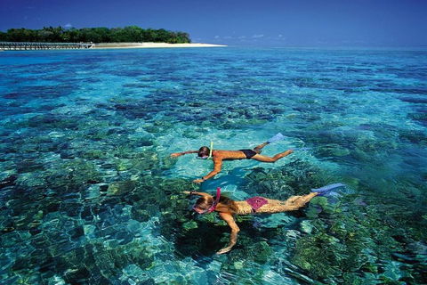 Green Island Day Trip From Cairns - Accommodation BNB 5