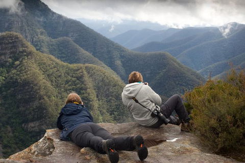 Inside The Greater Blue Mountains World Heritage - A Private Wildlife Safari Overnight - Accommodation BNB 0
