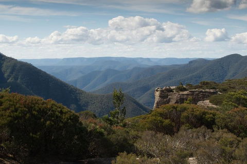 Inside The Greater Blue Mountains World Heritage - A Private Wildlife Safari Overnight - Accommodation BNB 5
