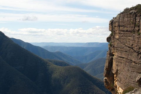 Inside The Greater Blue Mountains World Heritage - A Wildlife Safari Overnight - Accommodation BNB 4