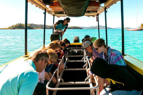 Airlie Beach Glass Bottom Boat Tour - Accommodation BNB 1