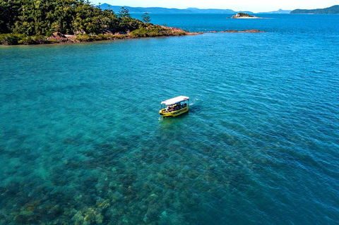 Airlie Beach Glass Bottom Boat Tour - Accommodation BNB 4