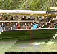 Hartley's Crocodile Adventure Half-Day Tour - Accommodation BNB
