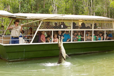 Hartley's Crocodile Adventure Half-Day Tour - Accommodation BNB 0