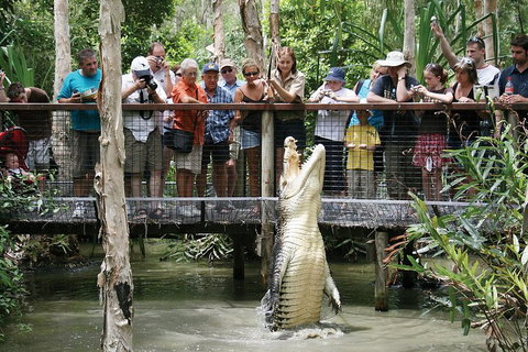 Hartley's Crocodile Adventure Half-Day Tour - Accommodation BNB 1