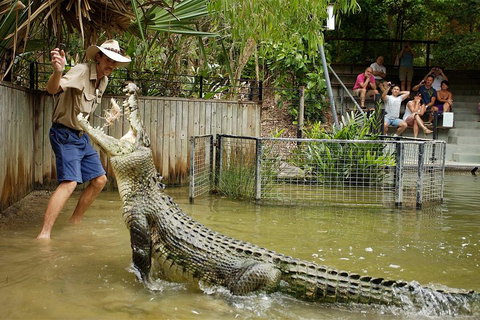 Hartley's Crocodile Adventure Half-Day Tour - Accommodation BNB 2