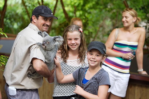 Hartley's Crocodile Adventure Half-Day Tour - Accommodation BNB 3