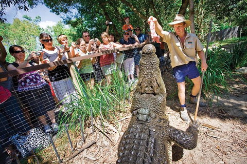 Hartley's Crocodile Adventure Half-Day Tour - Accommodation BNB 4