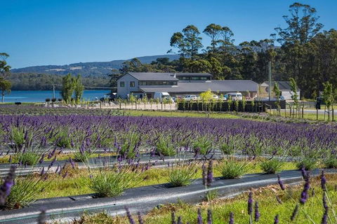 Private Hobart Discover South East Food And Scenic Tour - Accommodation BNB 0