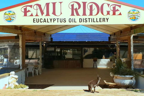 Full-Day Kangaroo Island Safari From Penneshaw - Accommodation BNB 2