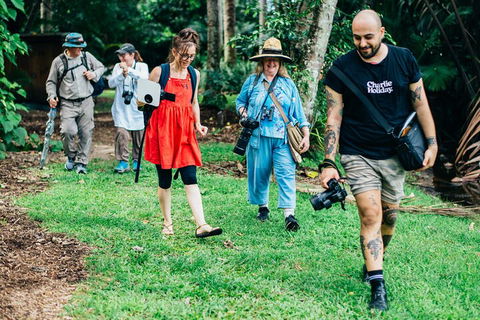 Let's Go Buggin & Let's Go Shroomin - Photography & Nature Walking Tours - Accommodation BNB 0