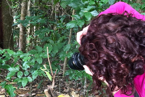 Let's Go Buggin & Let's Go Shroomin - Photography & Nature Walking Tours - Accommodation BNB 1