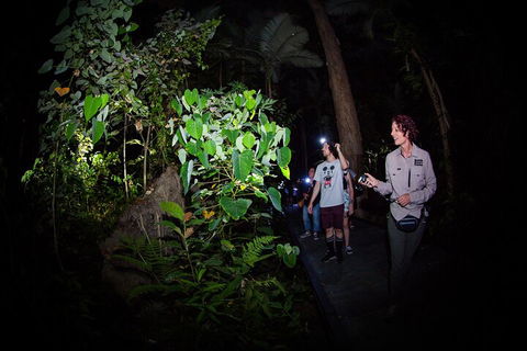 Let's Go Buggin & Let's Go Shroomin - Photography & Nature Walking Tours - Accommodation BNB 4