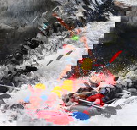 Barron Gorge National Park Half-Day White Water Rafting from Cairns or Port Douglas - Accommodation BNB