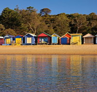 Mornington Peninsula Small Group day tour