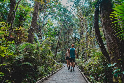 Full Day Cooktown Private Tour - Accommodation BNB 0