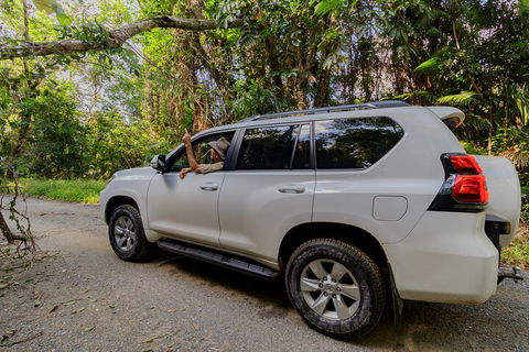 Full Day Cooktown Private Tour - Accommodation BNB 3