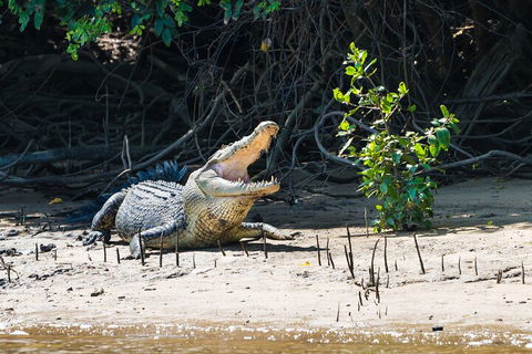 Full Day Cooktown Private Tour - Accommodation BNB 4