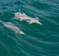 North Stradbroke Island Private Tour with Pickup