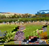 Private Picnic and Wine Tasting Experience in Barossa Valley - Accommodation BNB