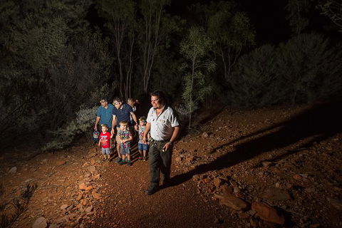 Alice Springs Desert Park Nocturnal Tour - Accommodation BNB 0