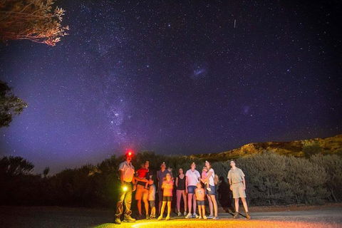 Alice Springs Desert Park Nocturnal Tour - Accommodation BNB 2