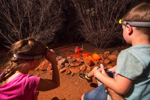Alice Springs Desert Park Nocturnal Tour - Accommodation BNB 4