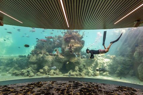 Whitehaven Beach And Daydream Island Cruise - Accommodation BNB 4