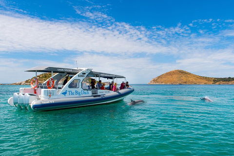 Southern Ocean Adventure From Victor Harbor - Accommodation BNB 1