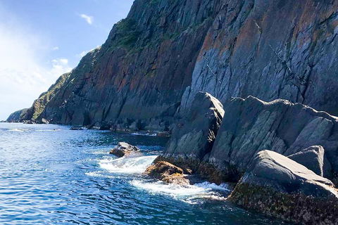 Southern Ocean Adventure From Victor Harbor - Accommodation BNB 3