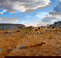 Mount Conner 4WD Small Group Tour from Ayers Rock including Dinner - Accommodation BNB