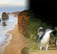 Melbourne Super Saver Great Ocean Road  Phillip Island  Attraction Pass