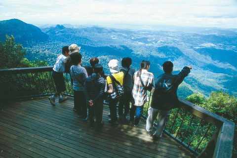 Springbrook National Park & Gold Coast Full Day Luxury Tour From Brisbane - Accommodation BNB 0