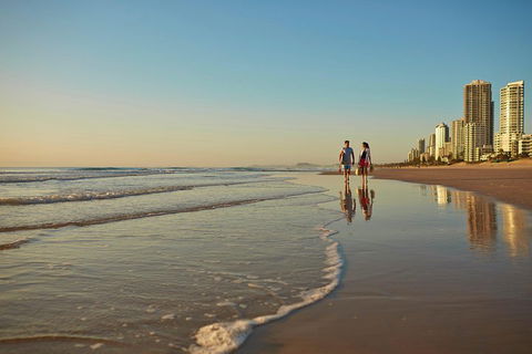 Springbrook National Park & Gold Coast Full Day Luxury Tour From Brisbane - Accommodation BNB 1