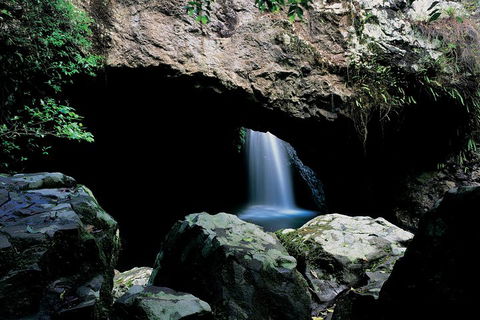 Springbrook National Park & Gold Coast Full Day Luxury Tour From Brisbane - Accommodation BNB 2