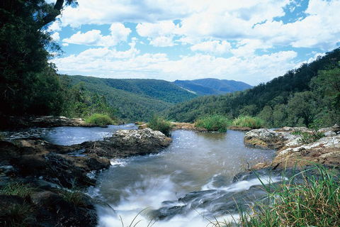 Springbrook National Park & Gold Coast Full Day Luxury Tour From Brisbane - Accommodation BNB 3