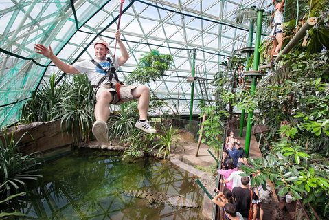 Cairns ZOOM And Wildlife Dome - Accommodation BNB 4