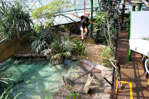 Cairns ZOOM And Wildlife Dome - Accommodation BNB 5