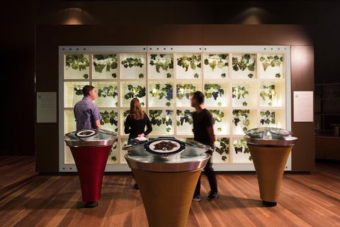Australian Wine Discovery Tour With Tastings - Accommodation BNB 4