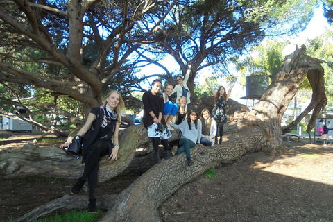 1/2 Day Swan Valley Wine Cheese & Chocolate Tour Inc Afternoon Cruise To Perth - Accommodation BNB 0