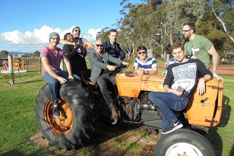 1/2 Day Swan Valley Wine Cheese & Chocolate Tour Inc Afternoon Cruise To Perth - Accommodation BNB 1
