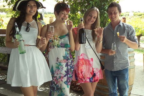 1/2 Day Swan Valley Wine Cheese & Chocolate Tour Inc Afternoon Cruise To Perth - Accommodation BNB 4