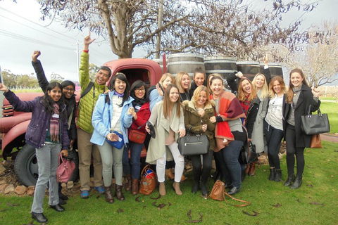 1/2 Day Swan Valley Wine Cheese & Chocolate Tour Inc Afternoon Cruise To Perth - Accommodation BNB 5