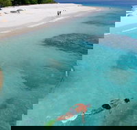 Fitzroy Island Day Trip from Cairns - Accommodation BNB