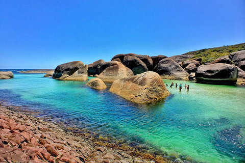 6 Day Esperance & Margaret River Adventure Tour - Accommodation BNB 3