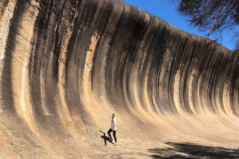 6 Day Esperance & Margaret River Adventure Tour - Accommodation BNB 4