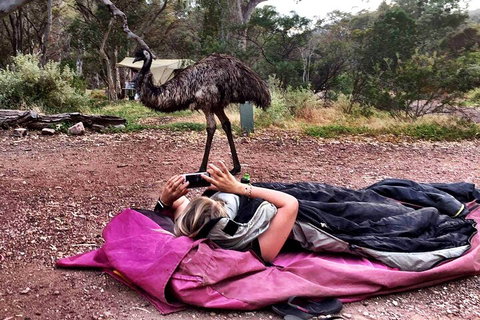 6 Day Esperance & Margaret River Adventure Tour - Accommodation BNB 5