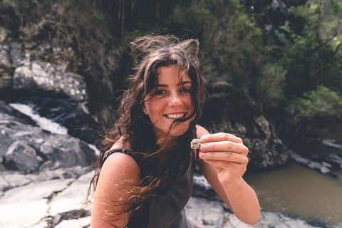 Springbrook AndTamborine Rainforest Tour Incl Natural Bridge And Glow Worm Cave - Accommodation BNB 1