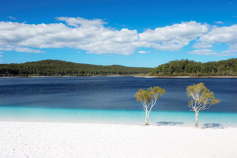 All-Inclusive Fraser Island Day Tour - Accommodation BNB 3